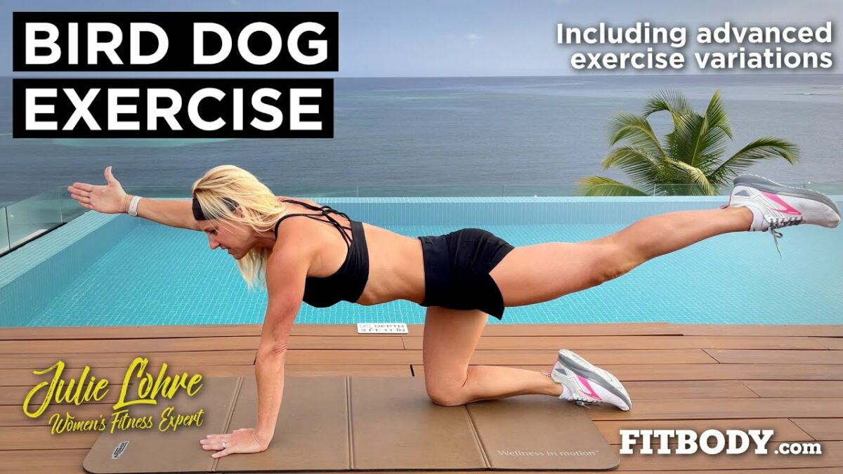 How to do a bird dog exercise